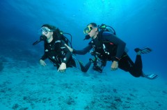 Envie de découvrir les profondeurs sous-marines?